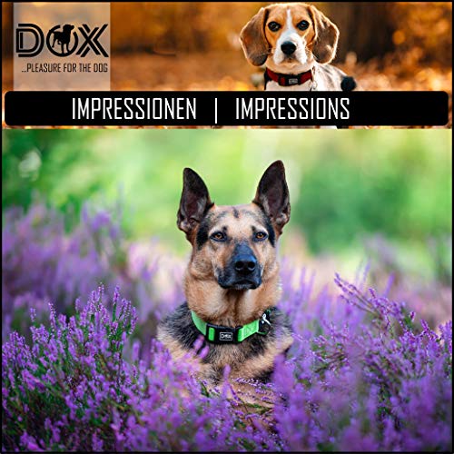 DDOXX Collar Perro Nylon, Reflectante, Ajustable | Muchos Colores & Tamaños | para Perros Pequeño, Mediano y Grande | Collares Accesorios Gato Cachorro | Amarillo, S