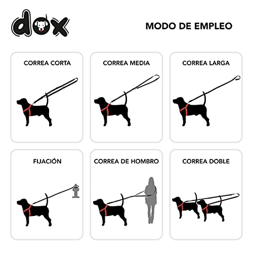 DDOXX Correa Perro de Nailon, Ajustable en 3 Direcciones, 2 m | Correas para Perros Grandes y Pequeños | Correa Doble para Perros, Gatos, Cachorros | Correa para Correr | Rojo, XS