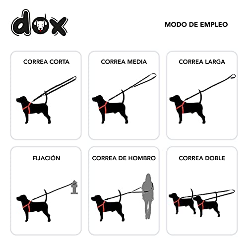 DDOXX Correa Perro Multiposición Air Mesh, Ajustable en 3 tamaños, 2m | Muchos Colores & Tamaños | para Perros Pequeño, Mediano y Grande | Correa Accesorios Doble 2 Gato Cachorro | Verde, M