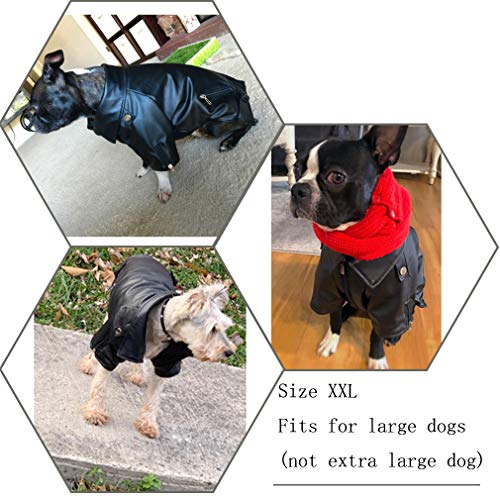 DELIFUR Chaqueta de piel para perros y gatos de invierno, chaqueta de piel para perros pequeños, medianos y grandes (XXL, negro)