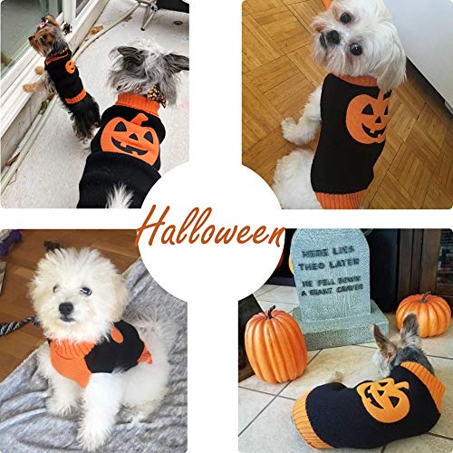 DELIFUR Suéter para Perro, Disfraz de Calabaza para Mascota, Fiesta de Halloween para Gato y Cachorro (XS, Sonriendo)
