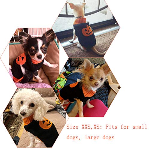 DELIFUR Suéter para Perro, Disfraz de Calabaza para Mascota, Fiesta de Halloween para Gato y Cachorro (XS, Sonriendo)