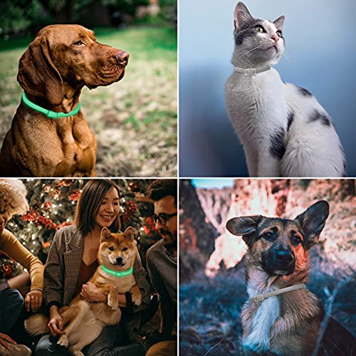 DEWEL Collar Antiparasitos Perro Gato, Collar Antiparasitario Fluorescente contra Pulgas, Garrapatas y Mosquitos para Perros Grandes Medianos Pequeños