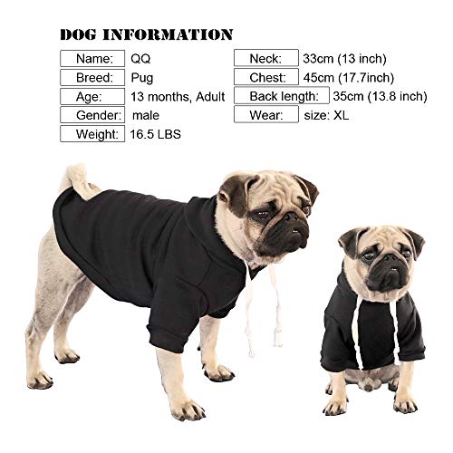 Didog Sudaderas personalizadas para perro, camisa de suéter con nombre y número de mascotas, ropa de identificación para perros pequeños y medianos, color negro, XS