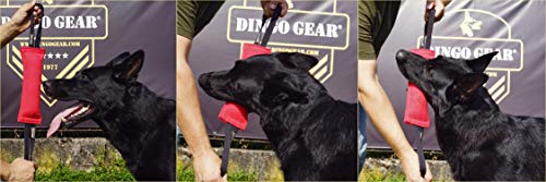 Dingo Gear - Remolcador de Nailon para Entrenamiento de Perros K9 IGP IPO Schutzhund Blind Search Drive Fetch Reward, Hecho a Mano de Material francés