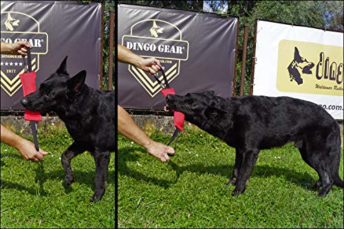 Dingo Gear - Remolcador de Nailon para Entrenamiento de Perros K9 IGP IPO Schutzhund Blind Search Drive Fetch Reward, Hecho a Mano de Material francés