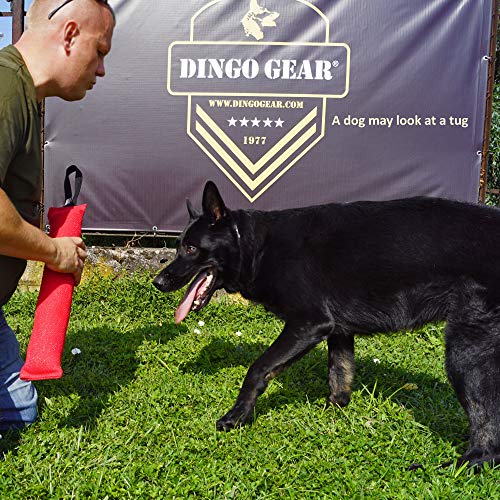 Dingo Gear - Remolque de Nailon para Entrenamiento de Perros K9 IGP IPO Schutzhund para búsqueda ciega de presas para Obtener recompensa, Hecho a Mano de Material francés