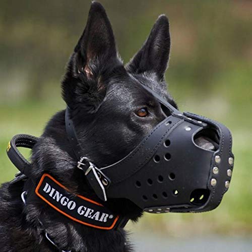 Dingo Gear S03032 - Bozal de Entrenamiento para Perros para Defensa, Entrenamiento y Servicio, Hecho a Mano, Ligero