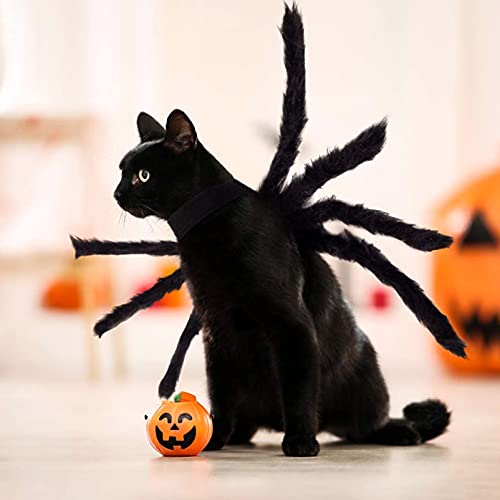 Disfraz De Halloween del Gatos Perros,Disfraz para Perro De Halloween,Mascota araña Ropa,Disfraz de Araña para Halloween,Disfraces Divertidos de Halloween para Mascotas (Negro)