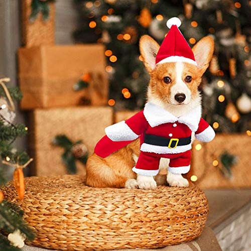 Disfraz de Papá Noel de Pet, Disfraz de Navidad para Mascotas, Disfraz de Navidad para Perros Lindo Santa Claus Ropa de Fiesta año Nuevo Divertido Disfraz para Fiestas de Mascotas (XL)