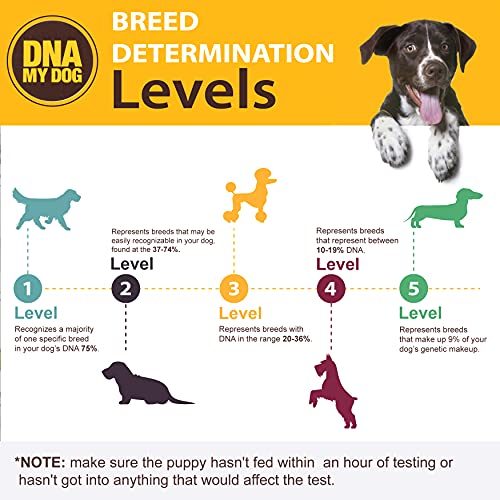 Dna My Dog - Canine Breed Identification Test Kit - At-home Cheek Swab Kit - New
