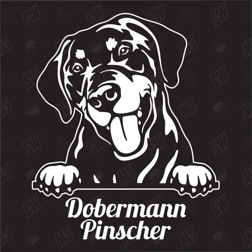 Dobermann Pinscher Versión 2 - pegatina, perro, coche, razas de perros, mestizo, mezcla, animales, mascota (TAMBIÉN POSIBLE CON DESEADO)