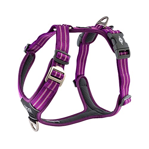 DOG Copenhagen Hundegeschirr V2 Walk Harness (Air) Purple Passion Talla L