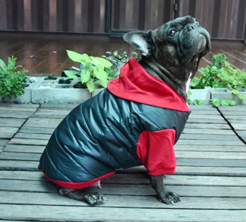 DOGGYDOLLY - Abrigo de Invierno para Perro con Capucha para Perro y Bulldog francés, Color Negro y Rojo