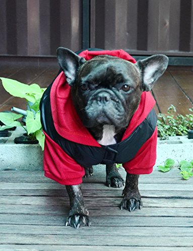 DOGGYDOLLY - Abrigo de Invierno para Perro con Capucha para Perro y Bulldog francés, Color Negro y Rojo