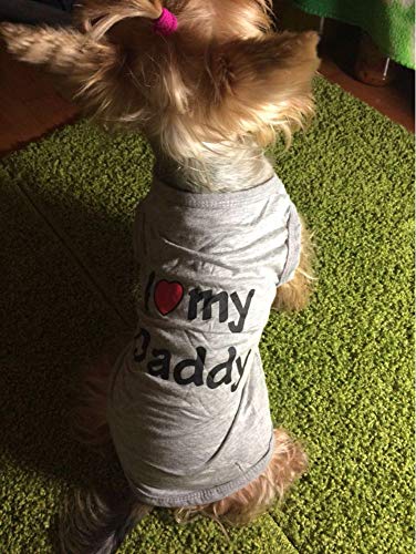 Ducomi Animales domésticos aman la camiseta el perro y el gato en la camiseta de algodón de verano los naranja