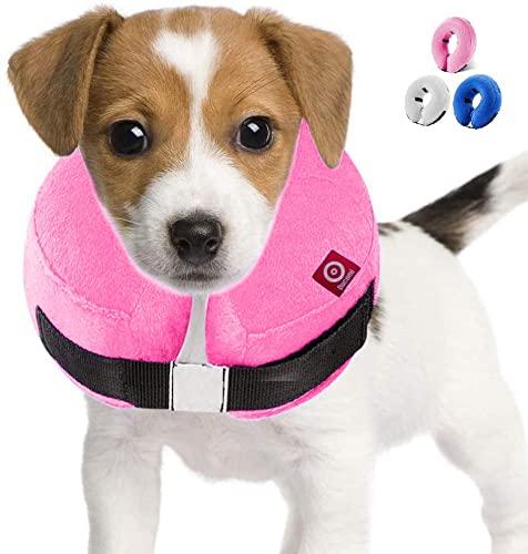 Ducomi Collar de Recuperación Inflable para Perros, Cono de Cuello Isabelino Ajustable para Mascotas Recuperación de Cirugía o Heridas - Previene la Infección por Arañazos y Picaduras (Rosa, M)
