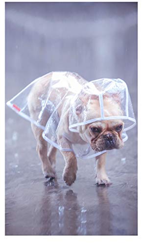 Ducomi Dogalize - Abrigo impermeable para perro con capucha de nailon transparente - Abrigo impermeable Poncho para perros de talla pequeña y mediana - Capa de lluvia impermeable - Capa (Hot Pink, S)