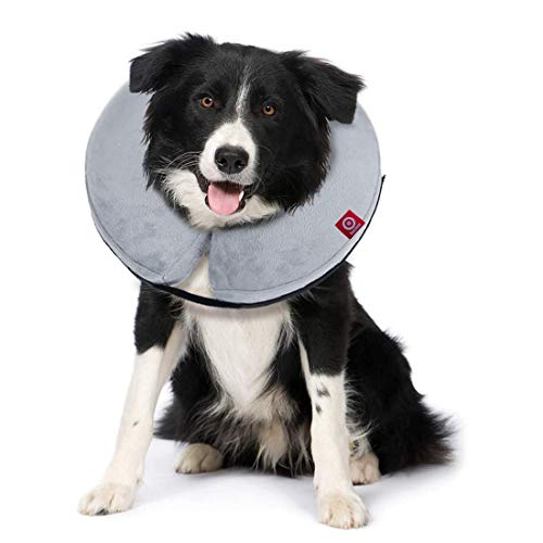 Ducomi Inflable Collar Isabelino Perro o Gato – Cono de Cuello Ajustable para Mascotas Recuperación de Cirugía o Heridas - Previene la Infección por Arañazos y Picaduras