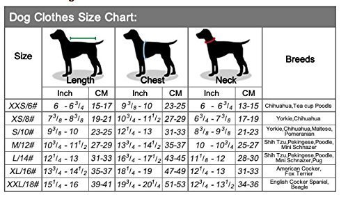 Ducomi Pets Love - Camiseta para perro y gato de algodón - Camiseta de verano para perros de pequeño y mediano tamaño y cachorros - Ropa suéter chihuahua, caniche y Razzy Toy (S, Daddy Navy)