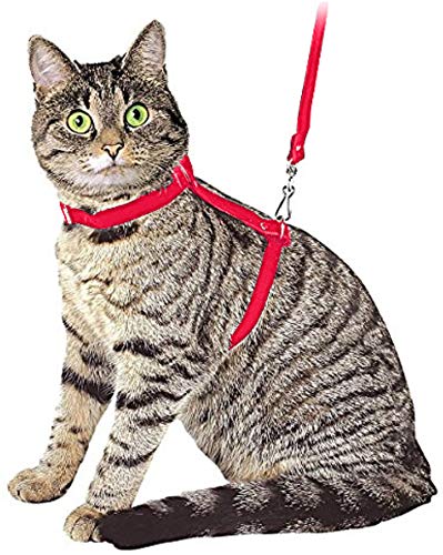 Ducomi Silvestro Arnes para Gatos – para Gatos, Conejos y Cachorros - Ideal en Paseos y Visitas al Veterinario - Correa Gato Ajustable 105cm (Red)