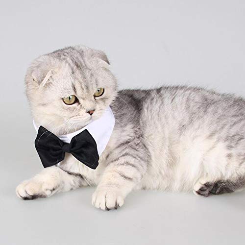 DULEE Pajarita ajustable para mascota, disfraz formal de perro y gato, accesorio de aseo para cachorros, perros pequeños y gatos, color blanco, S: 26-30 cm