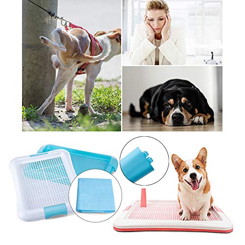 DZL- Bandeja Sanitaria de Adiestramiento Inodoro Interior para Perros Aseo Mascotas Bandeja de Entrenamiento para Mascotas Orinal para Perros Color Azar (L 64 * 47cm)