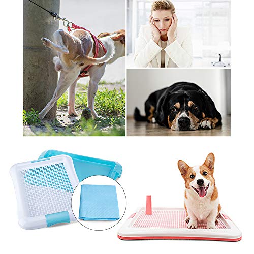 DZL- Bandeja Sanitaria de Adiestramiento Inodoro Interior para Perros Aseo Mascotas Bandeja de Entrenamiento para Mascotas Orinal para Perros (M 49 * 35cm)