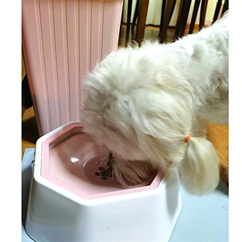 DZL- Tazón Flotante para Mascotas Bebedero Perro Tazón de Bebida Agua Flotante para Perro Gato Pájaros Mascotas Anti-Desbordamiento22*22 * 8cm (Aleatorio)
