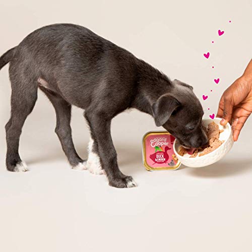 Edgard & Cooper - Caja con pátina para Cachorro, Perro, sin Cereales, Comida Natural, 150 g, Pato y Pollo Fresco, alimentación Sana Sabrosa y equilibrada, proteínas