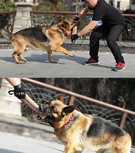 Egurs Resistance to Bite Linen Stick para entrenamiento con mango, Dog Wand Dog Toy Toy Outdoor Training para perros Suministros interactivos adecuados para perros grandes y medianos