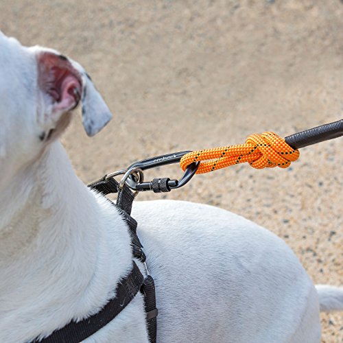 Embark Pets - Correa Sierra para perro con cuerda de escalada de montaña y mosquetón