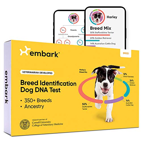 Embark | Prueba de ADN para perro | Kit de identificación de raza