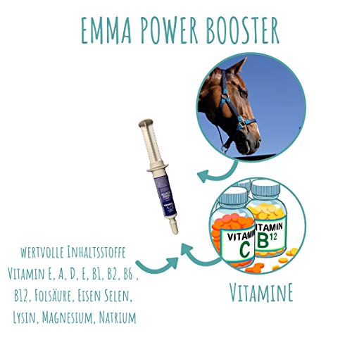EMMA ⭐Sparset Refuerzo vitamínico para Caballos Suplemento nutricional I Pasta Oral con vitaminas del Grupo B para Caballos, B12, B6, B2, B1 I Vitamina E, A, D Zinc 2 Piezas