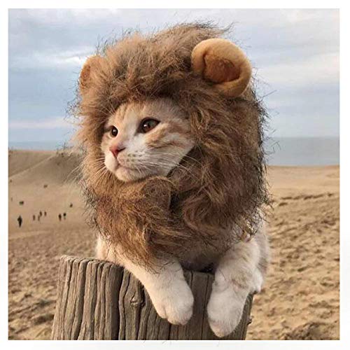 EONAZE Disfraz para Gato y Perros Pequeño, Disfraces de Melena de león Ajustable, Peluca de León Costume para Navidad Halloween Fiesta (Circunferencia del Cuello: 28cm)