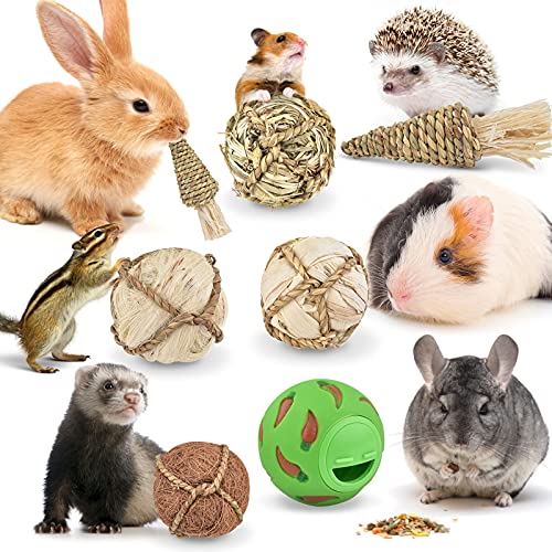 ERKOON Bola de golosinas para animales pequeños, juguete divertido de plástico con jacinto de agua natural para conejos, cobayas, chinchillas, hámsteres, ratones, jerbos, degus, hurones