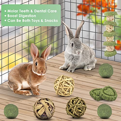 ERKOON Conejo juguete masticable 11 piezas natural de madera de manzana masticar palitos de hierba, pastel, para conejos, chinchillas, hámsters, cobayas, jerbos, etc. Cuidado dental