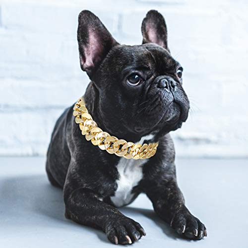 Esenlong Collar de oro para perro, muy ligero, ajustable, estilo trenzado, accesorio para Teddy francés Bulldog