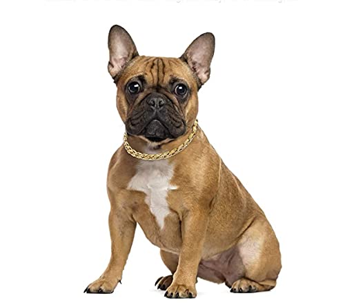Esenlong Collar de oro para perro, muy ligero, ajustable, estilo trenzado, accesorio para Teddy francés Bulldog