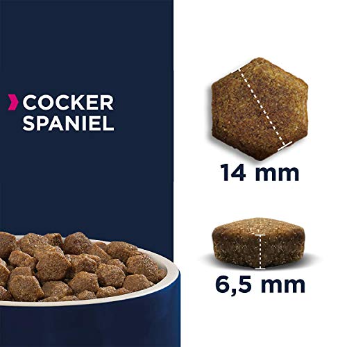 EUKANUBA Breed Specific Alimento seco para perros cocker spaniel adultos, alimento para perros óptimamente adaptado a la raza 7.5 kg