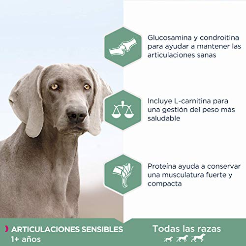 EUKANUBA Daily Care Alimento seco para perros adultos con articulaciones sensibles que sufren molestias articulares, 2.3 kg
