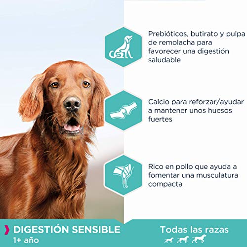 EUKANUBA Daily Care Alimento secopara perros adultos con digestión sensible, creado para perros con estómagos sensibles, 12 kg