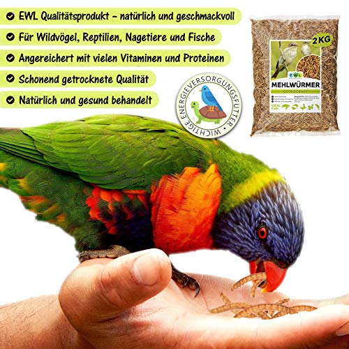 EWL Naturprodukte Gusanos de harina deshidratados, 2 kg, equivalen a 13 l Snack para pájaros, peces, tortugas, roedores y reptiles.