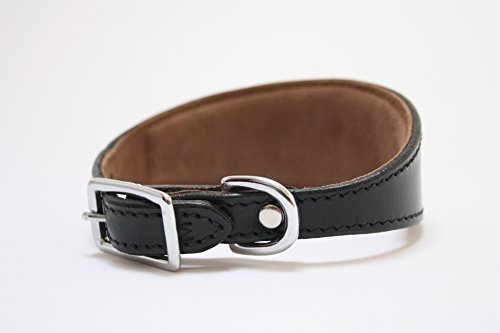 Exclusivos collares anchos acolchados de piel de oveja negra y ante suave – Whippet, galgo, Lurcher y perro italiano Saluki Sighthound (grande)