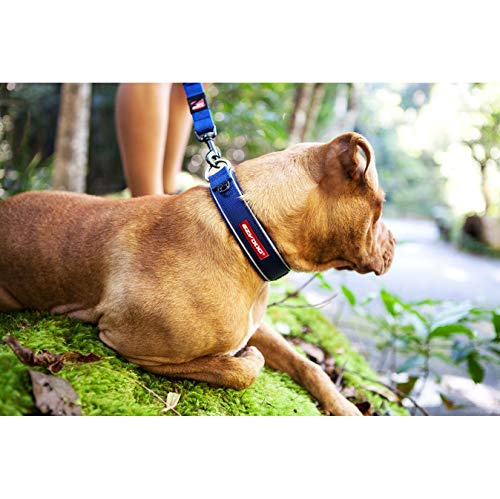 EzyDog Neo Collar para Perro, Verde, Grande (46-51 cm)
