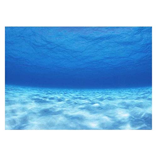 F Fityle 3D Cartel de Fondo de Tanque de Peces Estático Pegatina Papel Tapiz Pegado, Mundo Submarino - Cielo Azul, 61x41cm