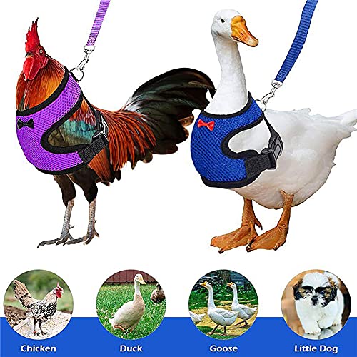 Faderr Arnés de pollo ajustable con correa elástico cómodo y transpirable para mascotas para pato ganso gallina traning caminar (azul, tamaño: M)