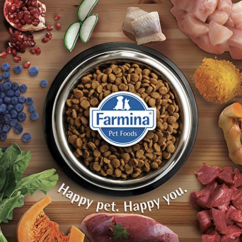 Farmina - Farmina N&D Calabaza y Cordero Puppy Medium & Maxi Grain Free - 2343-2,5 kg