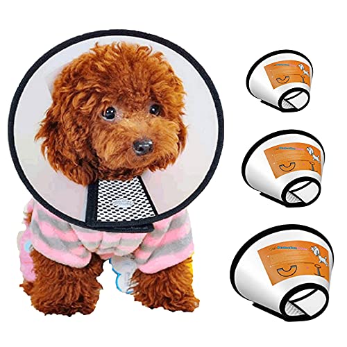 FGXY 3PCS Collarín para Mascotas, Collar Isabelino Plástico Protector Anti-Mordida Collar Práctico, Cono Mascotas Ajustable Collar de Recuperación para Tamaño Pequeño para Gatos y Cachorro