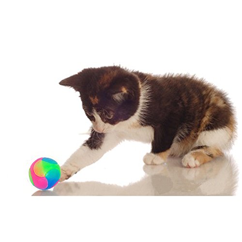 FineInno 2 Pcs LED Juguete de Pelota de Masticar,Bola de Mascota Perros, Bola de Salto para Perros y Gatos, luz LED Intermitente Chew Ball Toy
